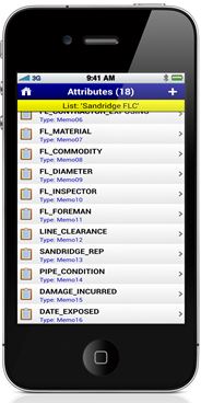 Foreign Line Crossing Data Collection Form SandRidge emails data collection forms to their pipeline inspectors, such as the one above for Foreign Line Crossings, to ensure accurate and consistent data across inspectors.